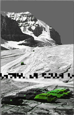 green ice taxi service